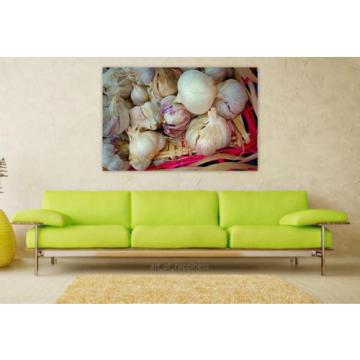 Stunning Poster Wall Art Decor Garlic Bulb Onion Allium Sativum 36x24 Inches