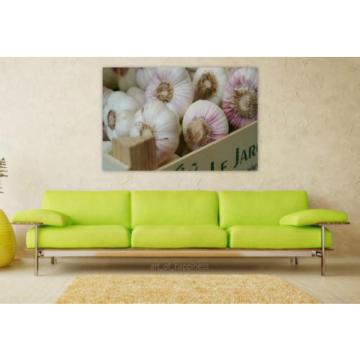 Stunning Poster Wall Art Decor Garlic Tuber Herb Medicinal Plant 36x24 Inches