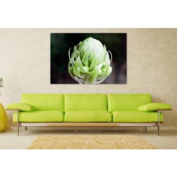 Stunning Poster Wall Art Decor Garlic Blossom Bloom Plant Allium 36x24 Inches