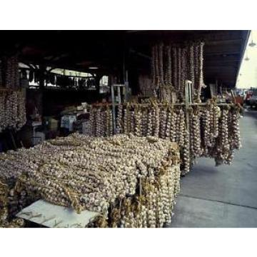 Photo of Garlic Strings at French Quarter Market,New Orleans,Louisiana,LA
