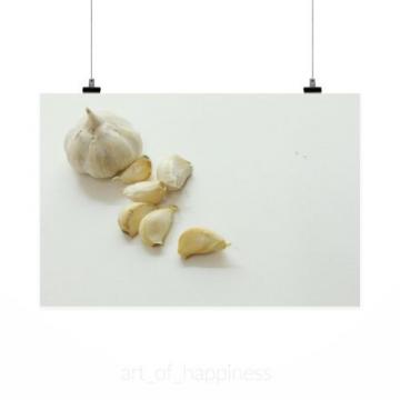 Stunning Poster Wall Art Decor Garlic Raw Raw Garlic White 36x24 Inches