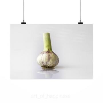 Stunning Poster Wall Art Decor Garlic Head Of Garlic Violet 36x24 Inches