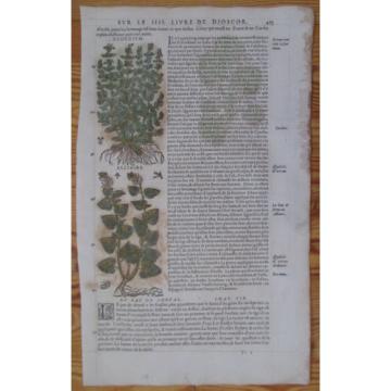 MATTIOLI: Folio Leaf Handcolored Woodcut Coltsfoot Garlic * - 1572