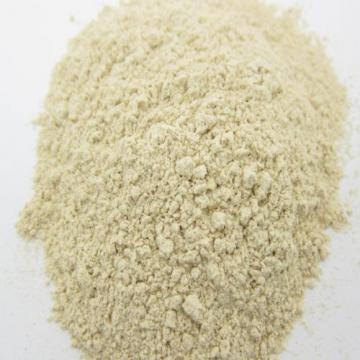 Garlic Powder - 11 Lbs