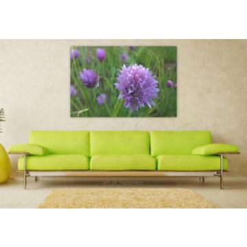 Stunning Poster Wall Art Decor Purple Flower Wild Garlic Flowers 36x24 Inches