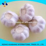 normal white fresh garlic size4.0cm