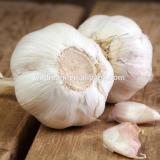 Chinese fresh white garlic with high quality and cheap price wholesale