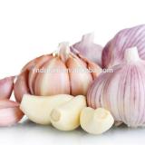 Organic fresh high quality garlic for sale in 2017