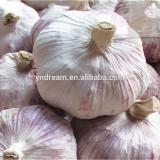 High quality specification fresh normal pure white garlic 2017 best selling