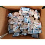 100% White Garlic Packed in 5kg Small Carton Box