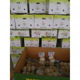 5.0cm 100% Pure White Snow White Chinese Fresh Garlic Exported to Guatemala