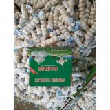 Best Quality 5.0cm 100% Pure White Fresh Garlic with favorable Price